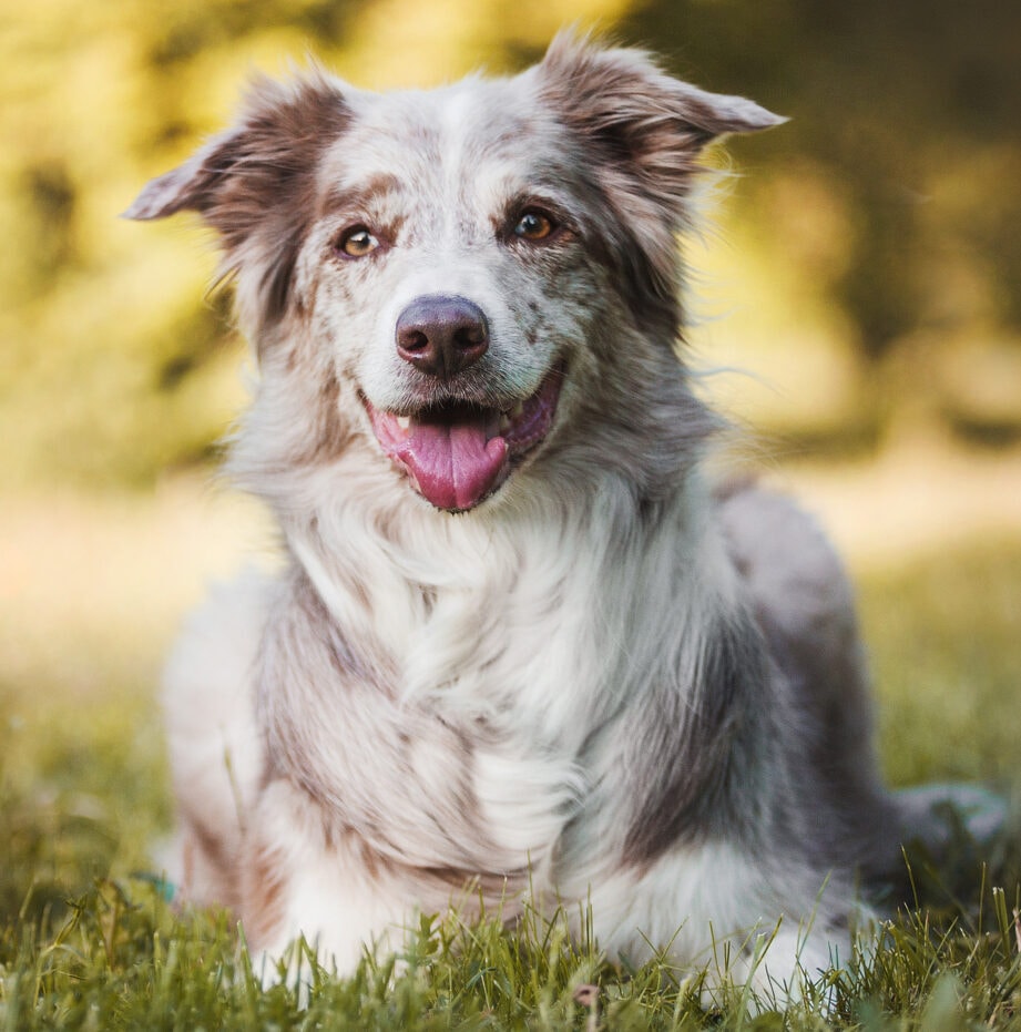 Adobe Stock 212785905
